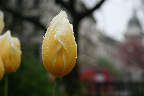 London_2009_009.jpg