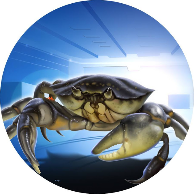 RD WiW 71 - Titelbildzeichnung.jpg